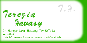 terezia havasy business card